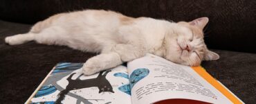 The Purrfect Read: Must-Read Books for Cat Lovers