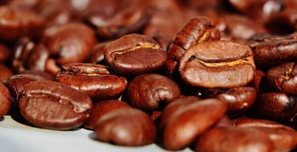 Rare and Exotic Beans: Highlighting Unique and Hard-to-Find Coffee Beans from Around the World