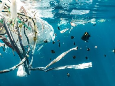 Plastic Pollution: Confronting the Menace in our Oceans and Taking Action