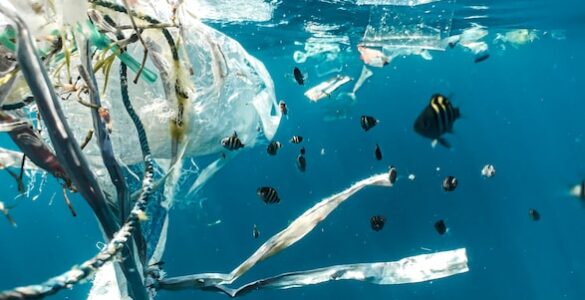 Plastic Pollution: Confronting the Menace in our Oceans and Taking Action