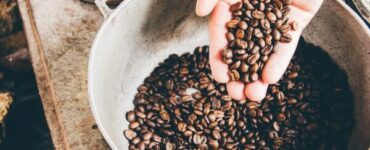 Organic and Specialty Beans: A Deep Dive into Organic and Specialty Coffee Beans and Their Certification Process