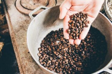Organic and Specialty Beans: A Deep Dive into Organic and Specialty Coffee Beans and Their Certification Process